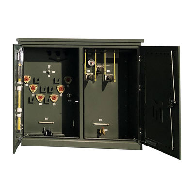 300 Kva Τριφογενής μετασχηματιστής διανομής βυθισμένου πετρελαίου 24.94Kv